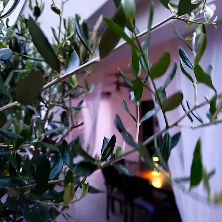 Family Apartment *
