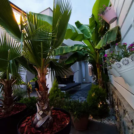 Family Apartment